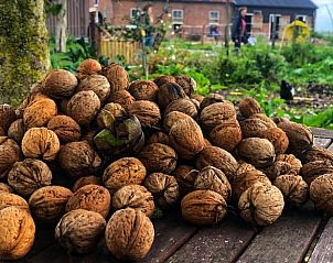 Unterkunft 460708 - Ferienhaus IJsselmeerkust - Huisje in Hem