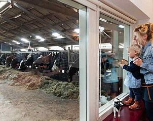 Unterkunft 461003 - Ferienhaus IJsselmeerkust - NH091