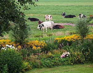 Unterkunft 461003 - Ferienhaus IJsselmeerkust - NH091