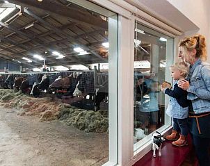 Unterkunft 461004 - Ferienhaus IJsselmeerkust - NH074