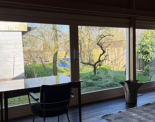 Uitzicht op de tuin vanuit Vakantiehuis in Monnickendam, een serene omgeving in IJsselmeerkust.