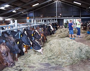 Unterkunft 461016 - Ferienhaus IJsselmeerkust - Vakantiehuisje in Monnickendam