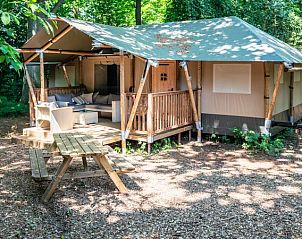 Guest house 461611 • Holiday property IJsselmeerkust • 4-6-persoons safaritent | 4-6SE 