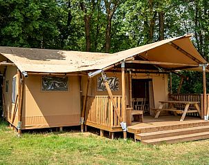 Guest house 461612 • Holiday property IJsselmeerkust • 4-6-persoons safaritent | 4-6SE 