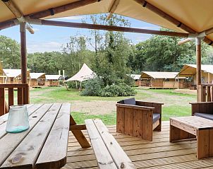 Unterkunft 461612 - Ferienhaus IJsselmeerkust - 4-6-persoons safaritent | 4-6SE