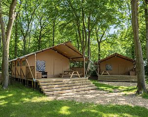 Unterkunft 461615 - Ferienhaus IJsselmeerkust - 4-5-persoons safaritent | 4-5S1