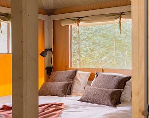 Unterkunft 461620 - Zelthaus IJsselmeerkust - De Stille Heide | 6 Pers. | Kachel & Hottub