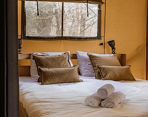 Unterkunft 461621 - Zelthaus IJsselmeerkust - De Bos Tent | 4 Pers. | Kachel