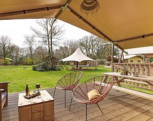 Unterkunft 461621 - Zelthaus IJsselmeerkust - De Bos Tent | 4 Pers. | Kachel