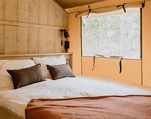 Unterkunft 461622 - Zelthaus IJsselmeerkust - De Bosvilla | 8 Pers. | Kachel