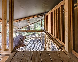 Unterkunft 461622 - Zelthaus IJsselmeerkust - De Bosvilla | 8 Pers. | Kachel