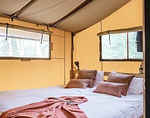 Unterkunft 461623 - Zelthaus IJsselmeerkust - De Bos Tent | 5 Pers