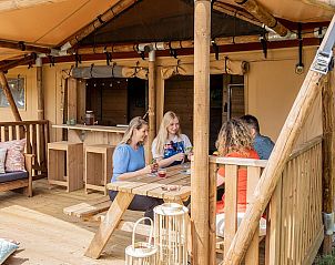 Verblijf 461624 - Tenthuis IJsselmeerkust - De Bos Lodge | 6 Pers