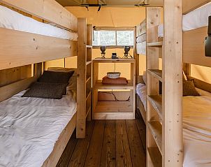 Unterkunft 461625 - Zelthaus IJsselmeerkust - De Heide Tent | 6 Pers. | Kachel