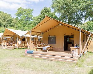 Verblijf 461629 - Tenthuis IJsselmeerkust - De Bos Tent
