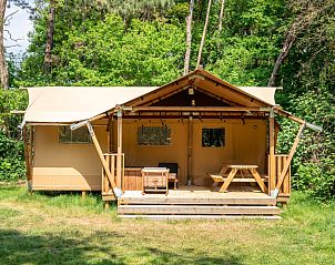 Unterkunft 461631 - Zelthaus IJsselmeerkust - De Heide Tent