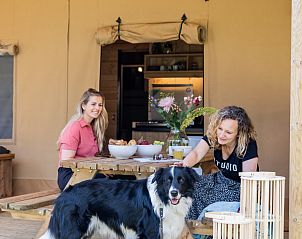 Verblijf 461635 - Tenthuis IJsselmeerkust - De Bos Tent
