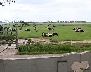 Unterkunft 462116 - Ferienhaus IJsselmeerkust - Huisje in Katwoude