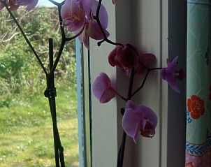 Unterkunft 462116 - Ferienhaus IJsselmeerkust - Huisje in Katwoude