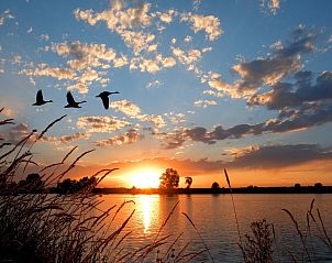 Unterkunft 462408 - Ferienhaus IJsselmeerkust - Vrijstaande woning in Opperdoes