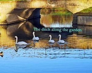 Guest house 462509 - Holiday property IJsselmeerkust - Vakantiehuis Markermeerlogies