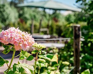 Unterkunft 462528 - Ferienhaus IJsselmeerkust - Vakantiehuisje in Bovenkarspel