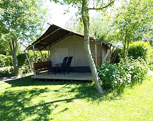 Unterkunft 462533 • Zelthaus IJsselmeerkust • Safaritent Kievit 