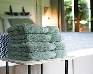 Stijlvol interieur van Vakantiehuis in Schellinkhout met houten kast en spiegel.