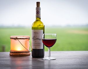 Unterkunft 462810 - Ferienhaus IJsselmeerkust - Vakantiehuisje in Schellinkhout