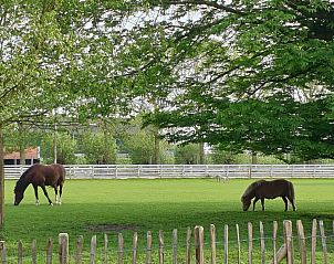 Guest house 462811 - Holiday property IJsselmeerkust - Guesthouse 10