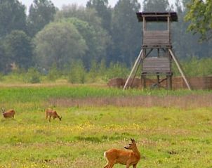 Unterkunft 462901 - Ferienhaus IJsselmeerkust - Huisje in Wieringerwerf