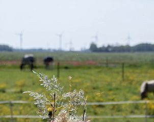 Unterkunft 462901 - Ferienhaus IJsselmeerkust - Huisje in Wieringerwerf
