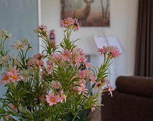 Unterkunft 462901 - Ferienhaus IJsselmeerkust - Huisje in Wieringerwerf