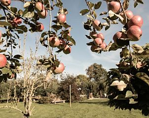 Verblijf 463001 - Vakantiewoning IJsselmeerkust - Huisje in Benningbroek