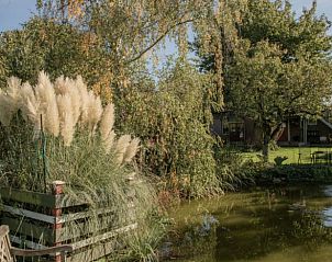 Verblijf 463001 - Vakantiewoning IJsselmeerkust - Huisje in Benningbroek