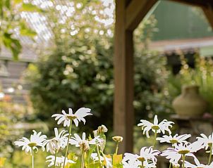 Verblijf 463002 - Vakantiewoning IJsselmeerkust - Vakantiehuis in Benningbroek