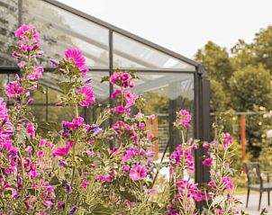 Verblijf 463002 - Vakantiewoning IJsselmeerkust - Vakantiehuis in Benningbroek