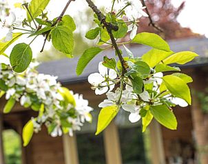 Verblijf 463002 - Vakantiewoning IJsselmeerkust - Vakantiehuis in Benningbroek