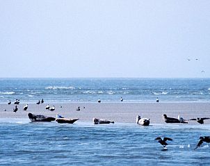 Verblijf 470201 - Vakantiewoning Waddenkust - Vakantiewaddenzee.nl