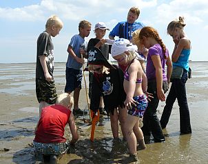 Guest house 470846 - Chalet Waddenkust - Recreatiepark Wiringherlant - Wiringher Chalet 94