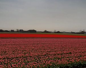 Unterkunft 471308 - Ferienhaus Waddenkust - Vakantiehuis in Breezand