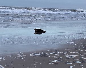 Verblijf 480167 - Appartement Noordzeekust - De oude Paardenstal