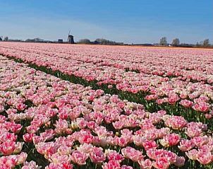 Unterkunft 480307 - Ferienhaus Noord-Holland noord - Vakantiehuis Oudesluis