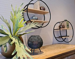 Decoratieve elementen in Huisje in Oudesluis, vakantiehuis in Noord-Holland met planten en stijlvolle accessoires.