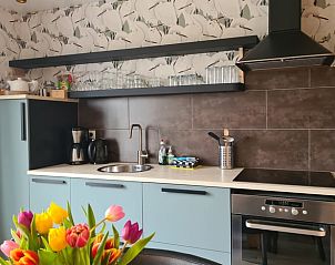 Stijlvolle keuken in Huisje in Oudesluis, vakantiehuis in Noord-Holland met moderne apparatuur en bloemen.