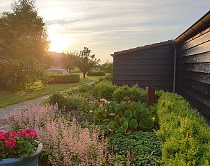 Prachtige tuin bij Huisje in Oudesluis, vakantiehuis in Noord-Holland met kleurrijke bloemen en zonsondergang.