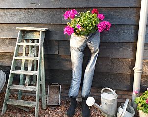 Creatieve tuinversiering bij Huisje in Oudesluis, vakantiehuis in Noord-Holland met bloemen en ladder.