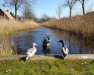 Sereen watertje met eenden in de omgeving van Vakantiehuisje in Oudesluis, Noord-Holland, voor een rustige wandeling.