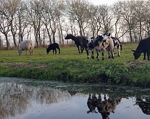 Verblijf 480317 - Vakantiewoning Noord-Holland noord - Vakantiehuis in Oudesluis