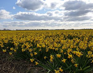 Verblijf 480317 - Vakantiewoning Noord-Holland noord - Vakantiehuis in Oudesluis
